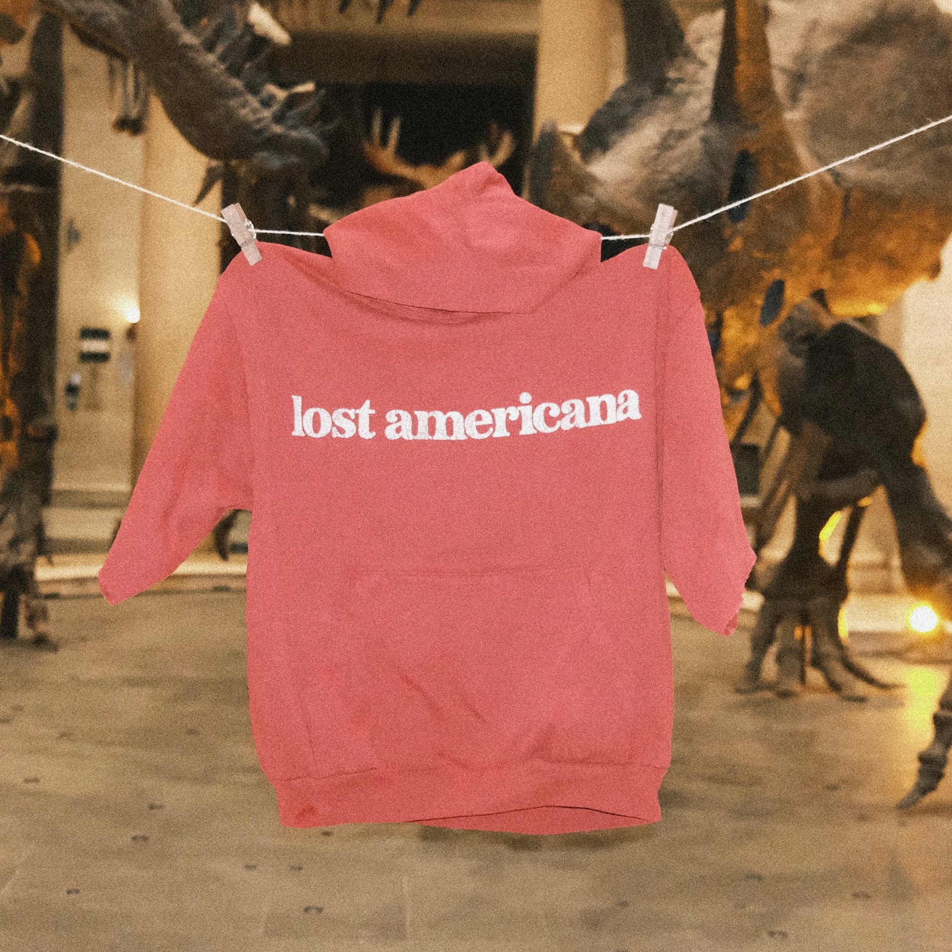 lostamericanashortsleevehoodie.jpg